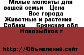 Милые мопсяты для вашей семьи › Цена ­ 20 000 - Все города Животные и растения » Собаки   . Брянская обл.,Новозыбков г.